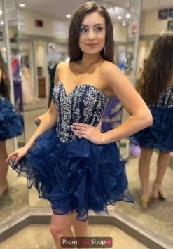 Blush Dress Dress 11380