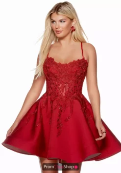 Alyce Paris Dress 3117