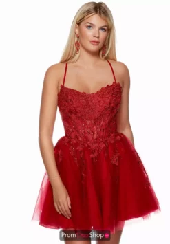 Alyce Paris Dress 3118