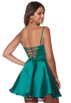 Alyce Paris Dress 3142 -Prom Dress Shop Shop 3142 PINE 2