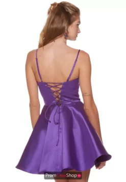Alyce Paris Dress 3142 -Prom Dress Shop Shop 3142 PURPLE 2