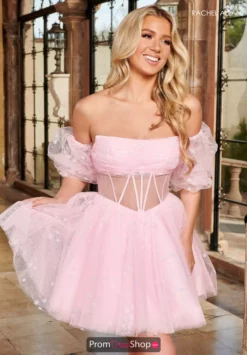 Rachel Allan Dress 40379