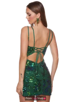 Alyce Paris Dress 4630 -Prom Dress Shop Shop 4630 PINE 2