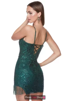 Alyce Paris Dress 4639 -Prom Dress Shop Shop 4639 PINE 2