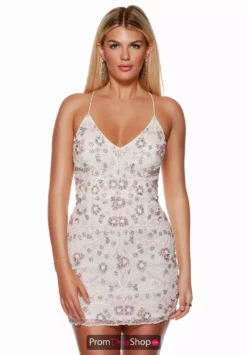 Alyce Paris Dress 4666