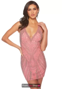 Alyce Paris Dress 84006 -Prom Dress Shop Shop 84006 PINKCORAL 1