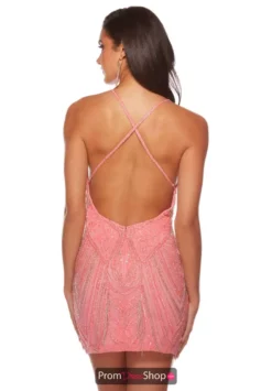 Alyce Paris Dress 84006 -Prom Dress Shop Shop 84006 PINKCORAL 2