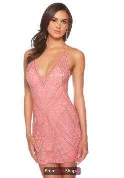 Alyce Paris Dress 84006 -Prom Dress Shop Shop 84006 PINKCORAL 3