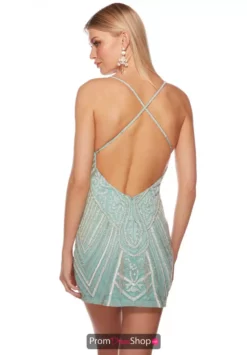 Alyce Paris Dress 84006 -Prom Dress Shop Shop 84006 POOL 2