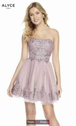 Alyce Paris Dress 3841