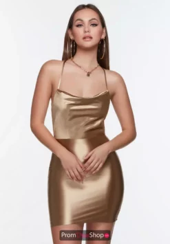Alyce Paris Dress 4528 -Prom Dress Shop Shop Alyce 4528 GOLD 1