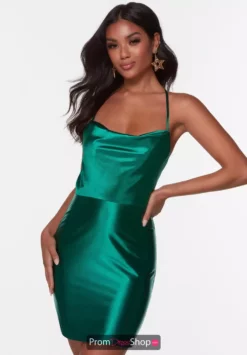 Alyce Paris Dress 4528 -Prom Dress Shop Shop Alyce 4528 PINE 1