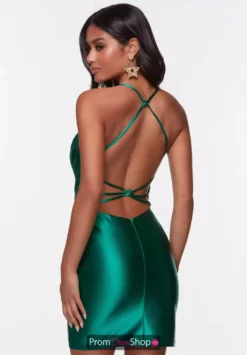 Alyce Paris Dress 4528 -Prom Dress Shop Shop Alyce 4528 PINE 2