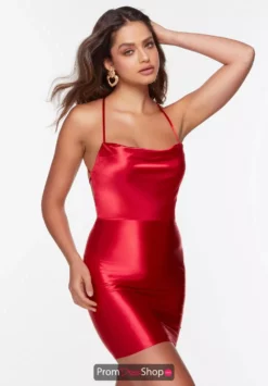 Alyce Paris Dress 4528 -Prom Dress Shop Shop Alyce 4528 RED 3