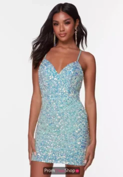 Alyce Paris Dress 4543