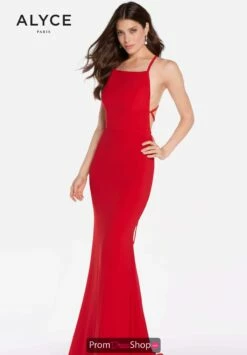 Alyce Paris Dress 60001